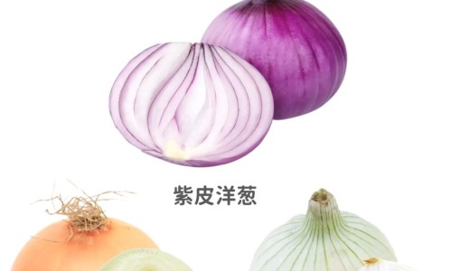 水果所含营养成分网水果富含的营养成分知识网站,分享水果所含的营养物质大全